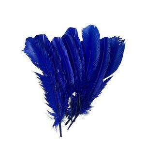 18 Large Royal Blue Craft Feathers For Costumes and DIY Projects